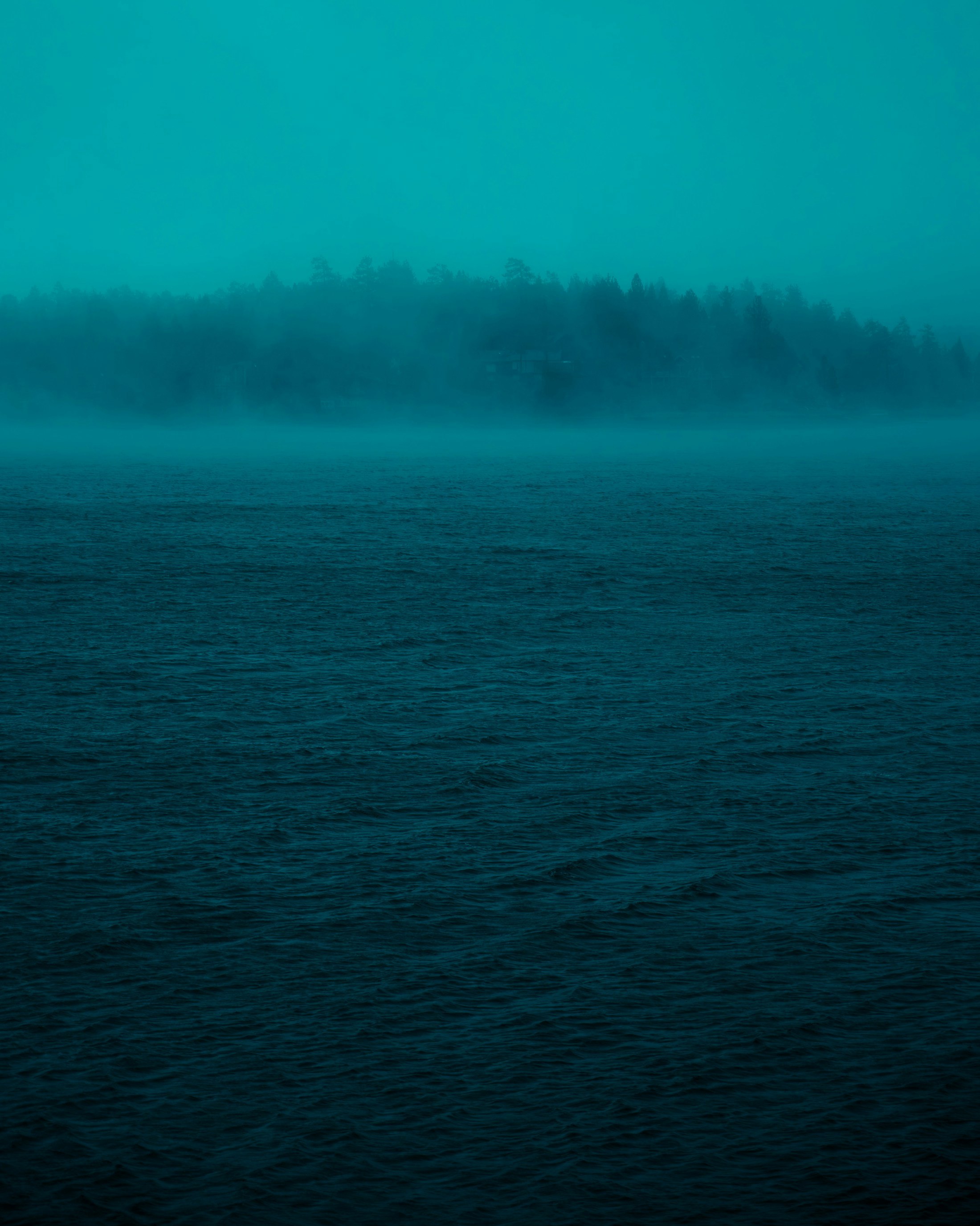 Misty forest above dark water, illustrative